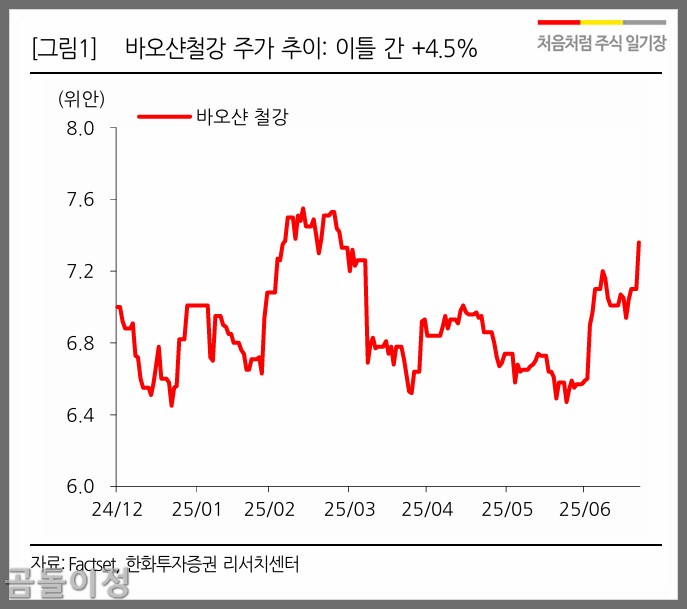 포스코홀딩스 주가 철강주 투자전략, 현대제철보다 나을까?