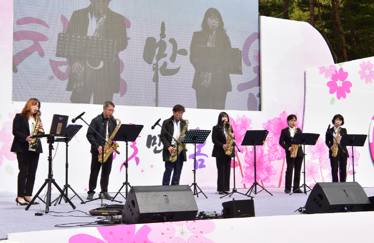 비슬산 참꽃축제
