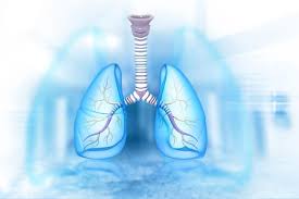 폐에 물이 차는 원인