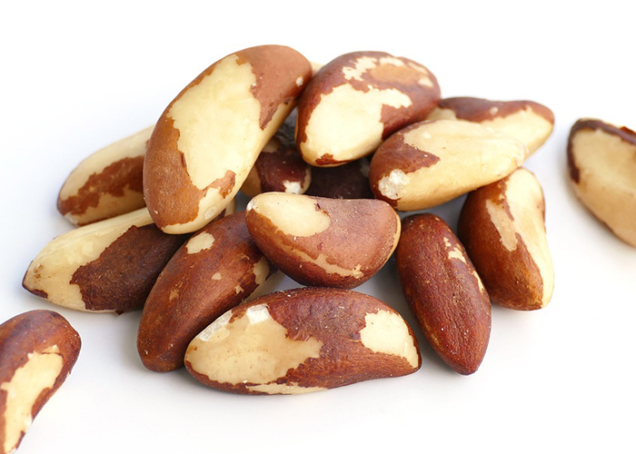 브라질너트 이미지