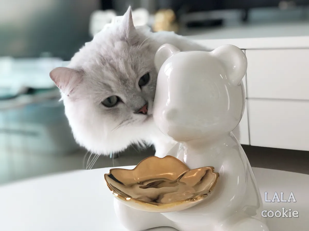 가성비-집들이-선물-악세사리-트레이-화이트-디자인