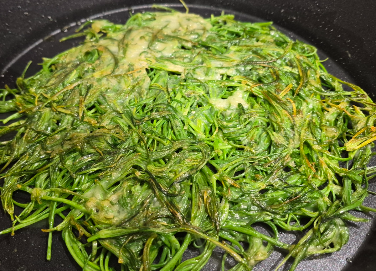 세발나물 전