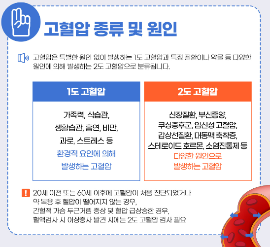 고혈압 증상(5)