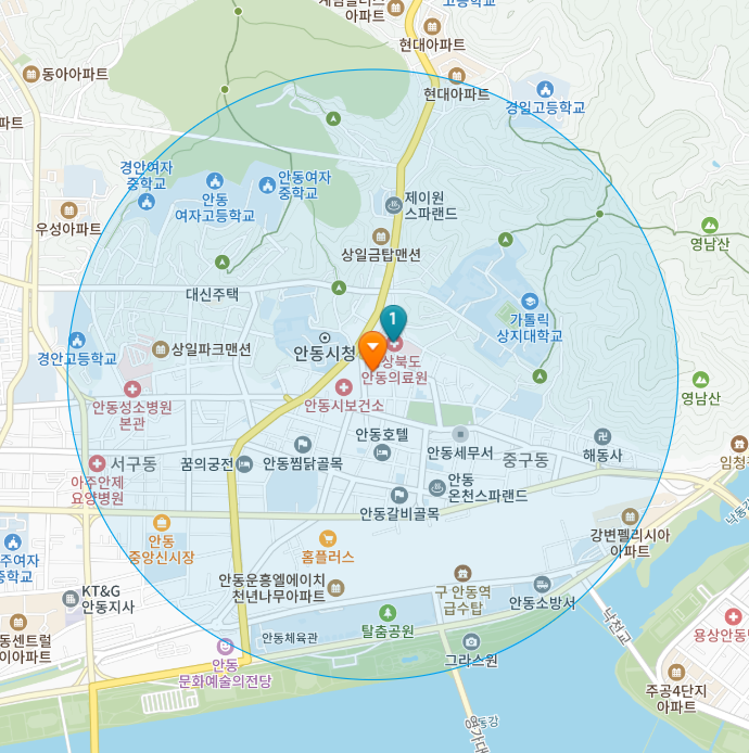 경상북도 안동시 북문동 일요일 진료 휴일 문 여는 병원