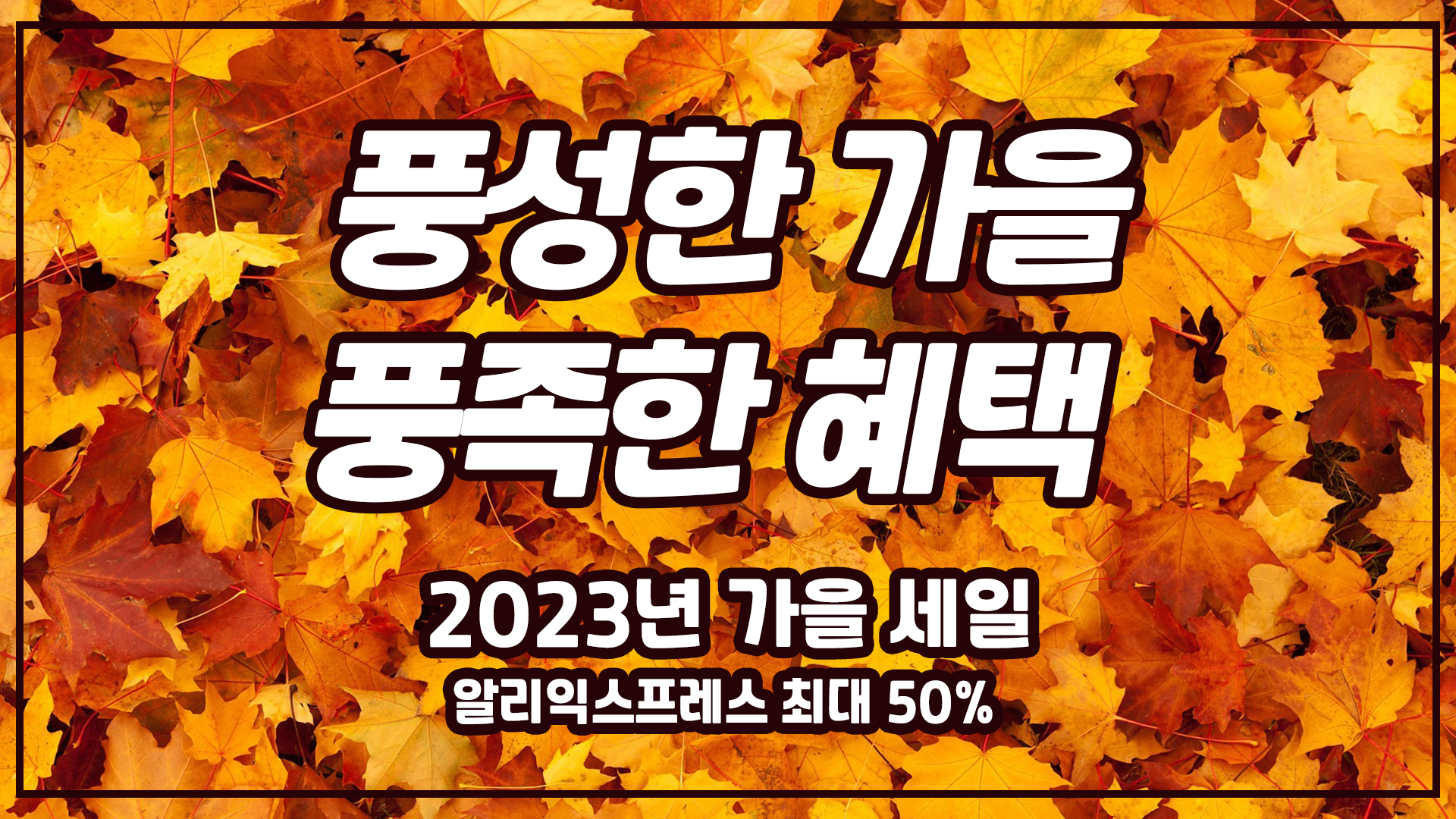 알리 가읈 세일 풍성한 가을