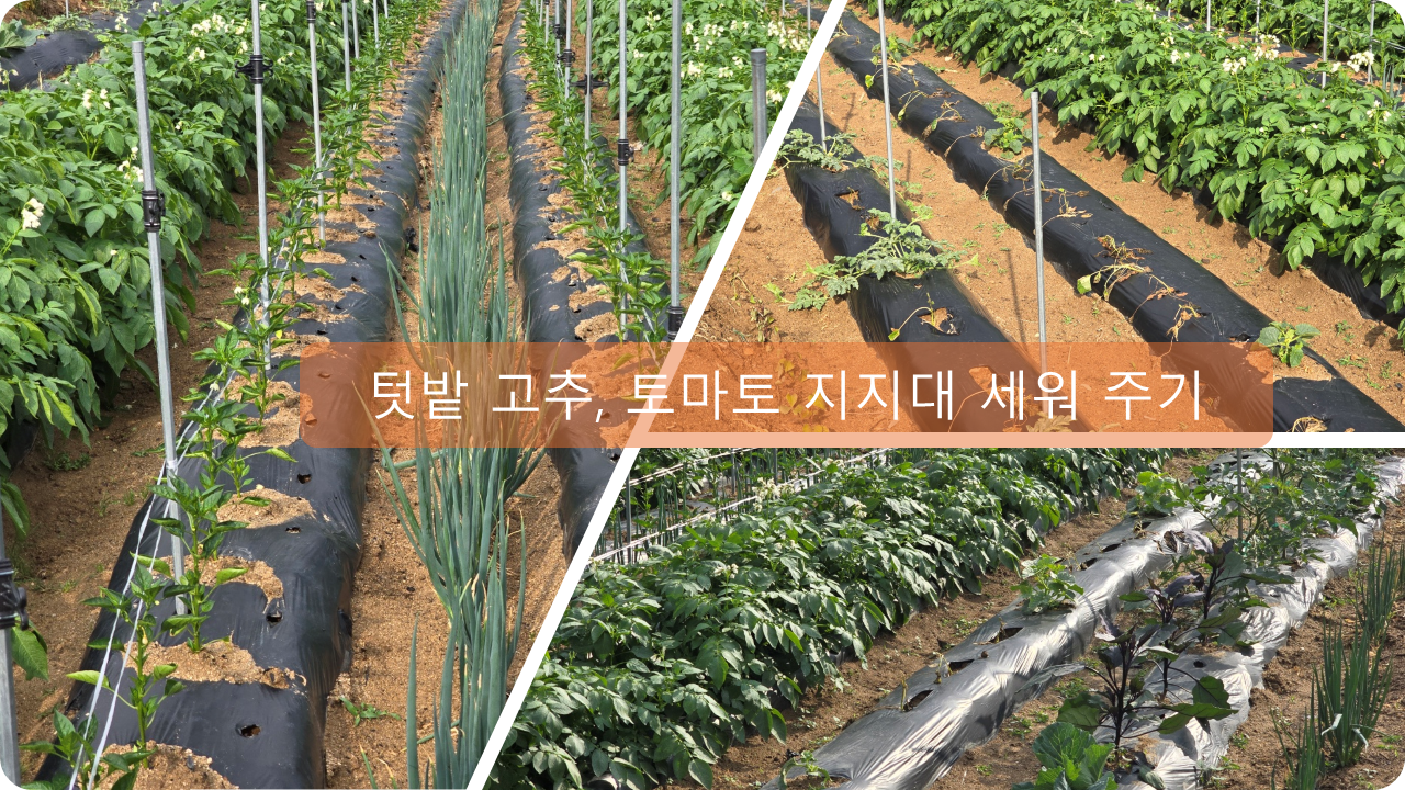 고 추 지지대