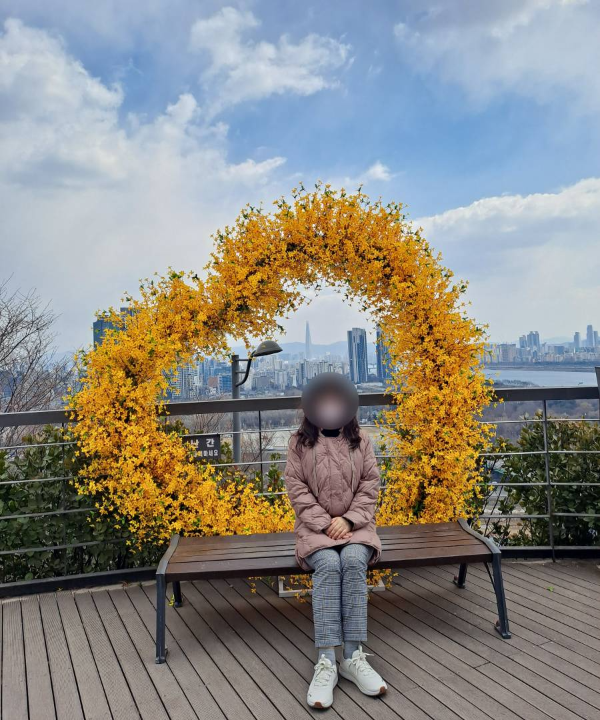 응봉산 개나리하트 포토존