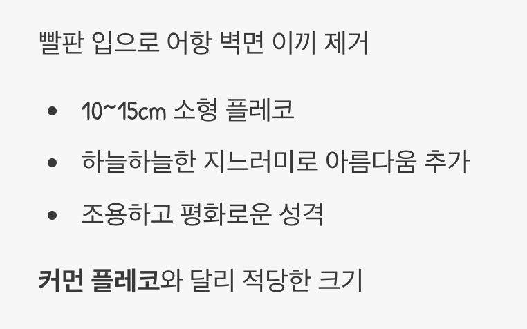 3. 이끼 해결사, 안시 롱핀