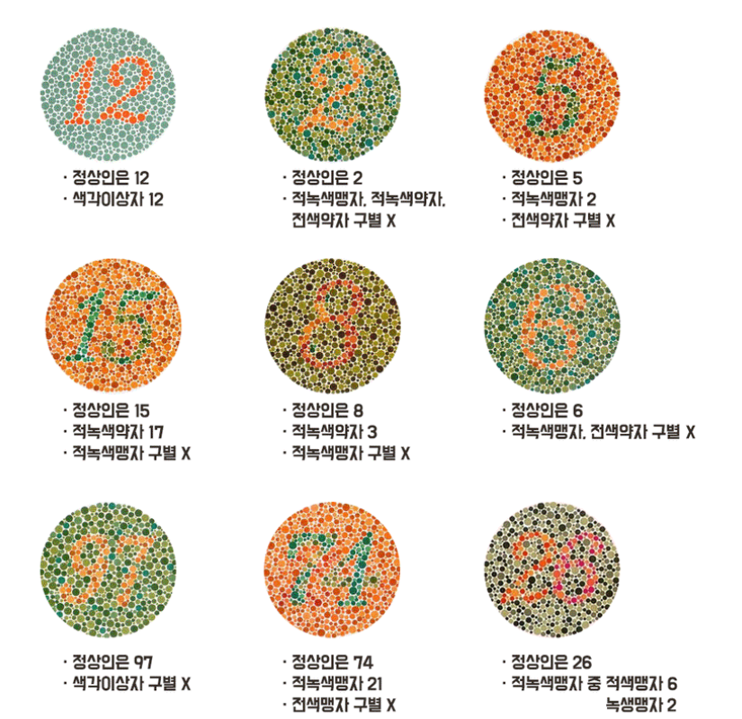 색약-테스트