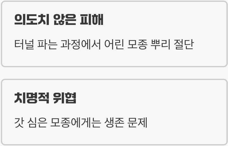 작물의 뿌리를 위협하는 반갑지 않은 손님