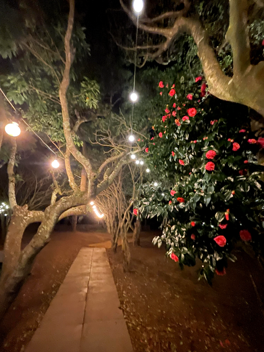 소노캄 제주 야경7