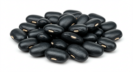 검은콩