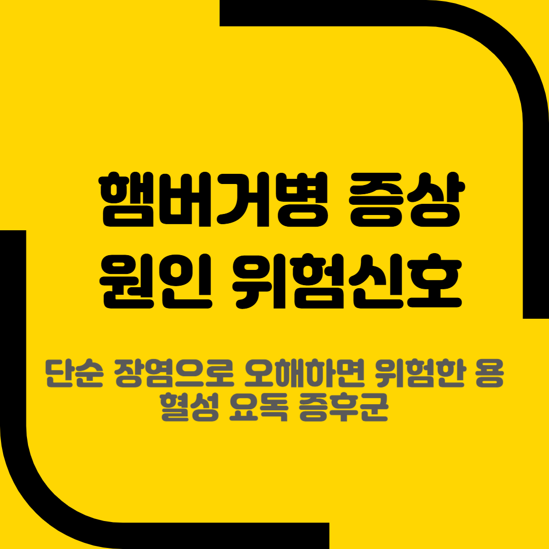 햄버거병 증상 원인 위험신호