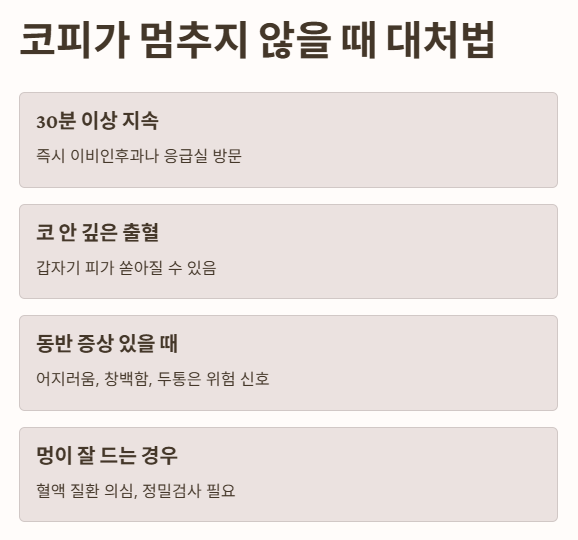 코피가 멈추지 않을 때 대처법