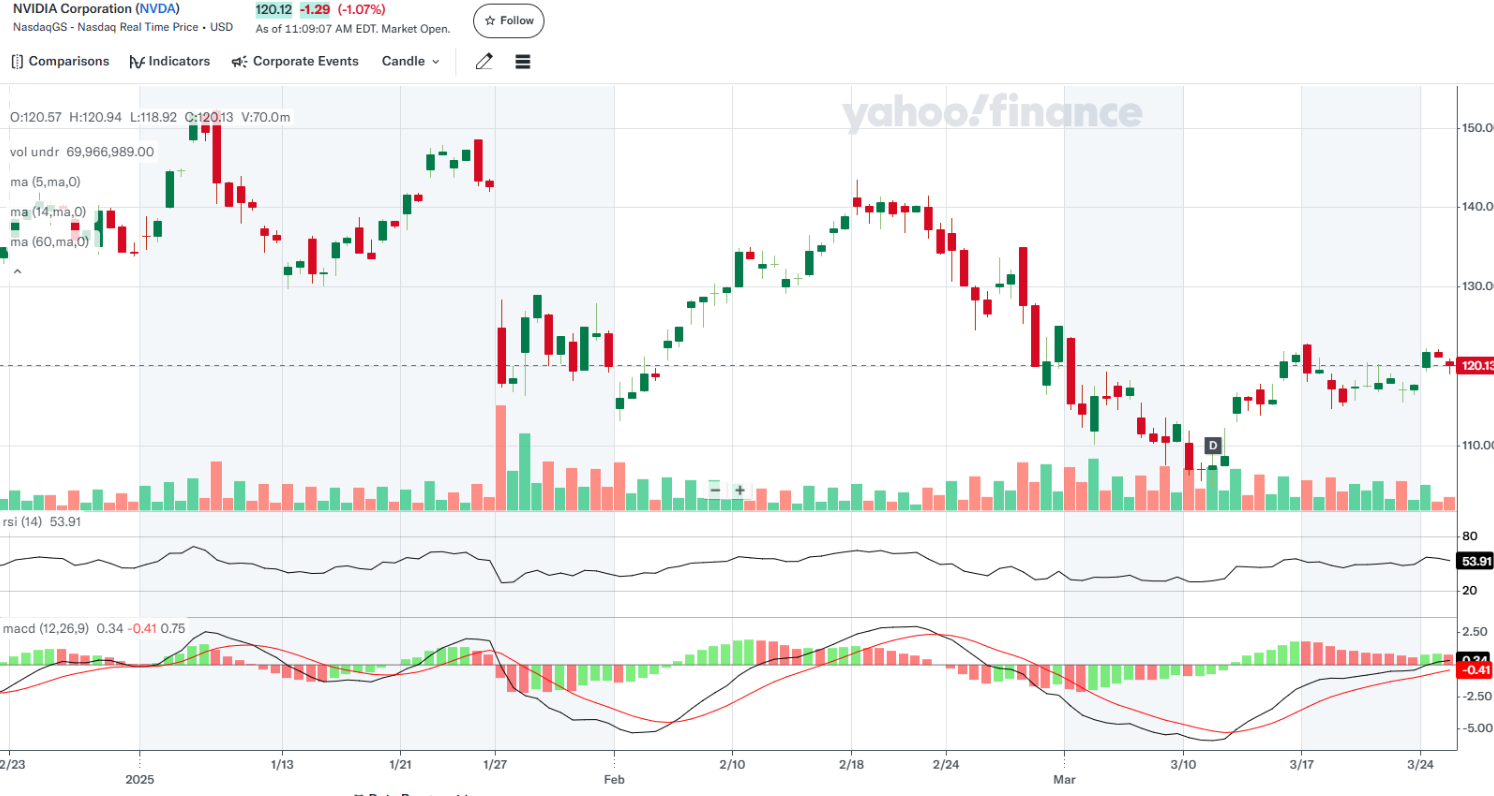 엔비디아 일봉 챠트