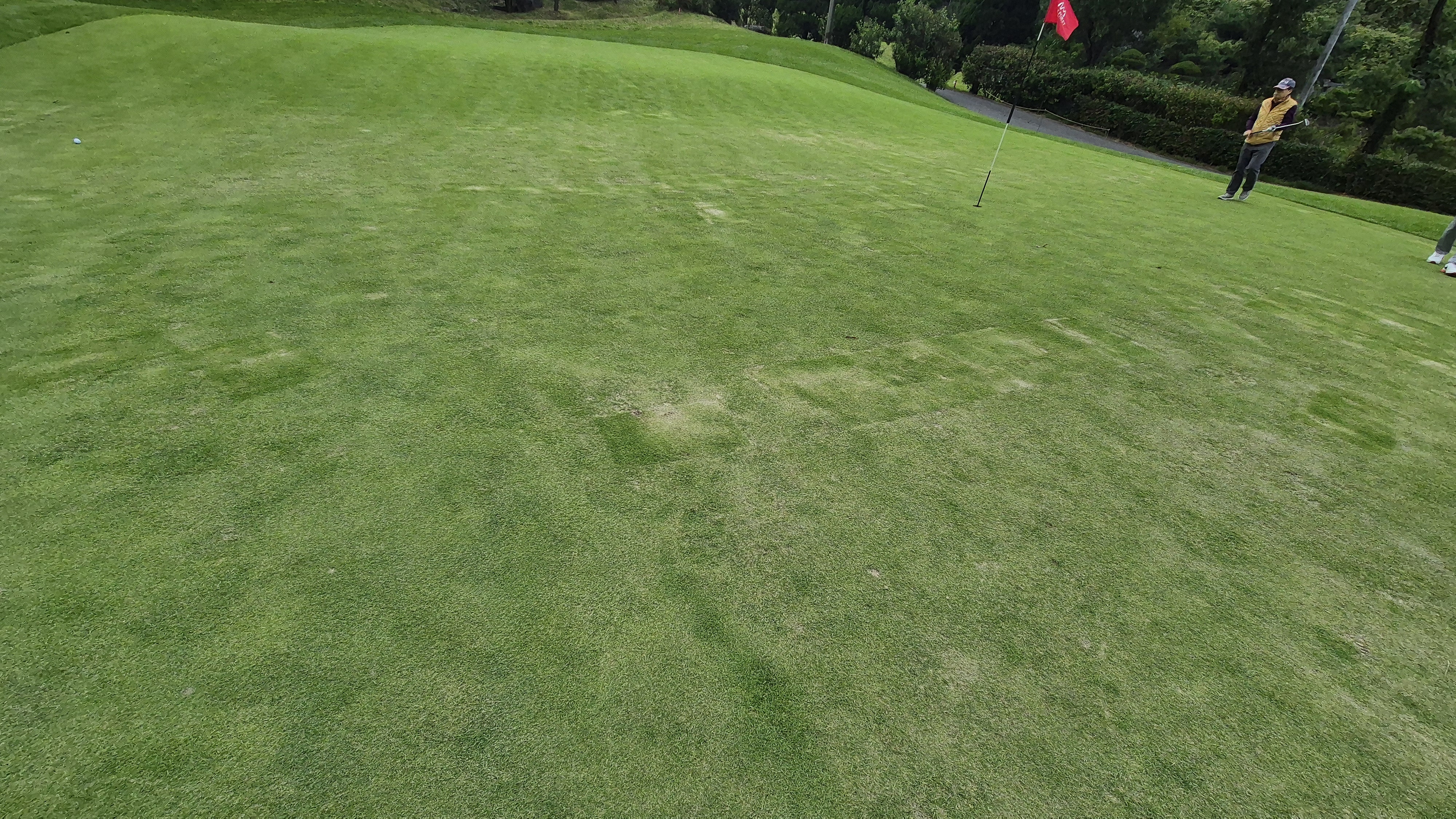 블랙스톤 벨포레cc 그린빠르기 및 난이도