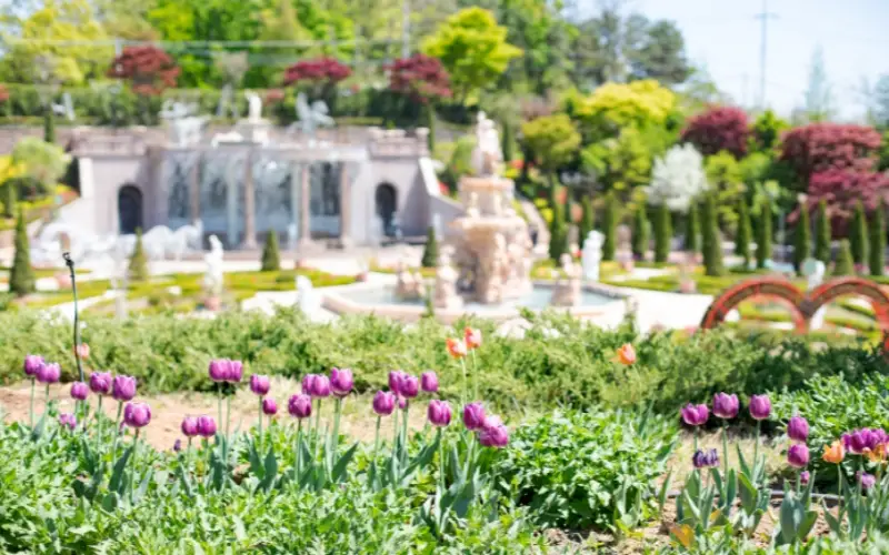 퍼스트가든 봄꽃축제 블루밍가든_1