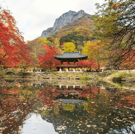 단풍여행 단풍트레킹 당일버스 여행