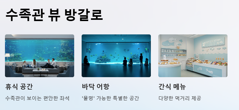 부산 명지 아쿠아 키즈카페 아쿠아플레이하우스