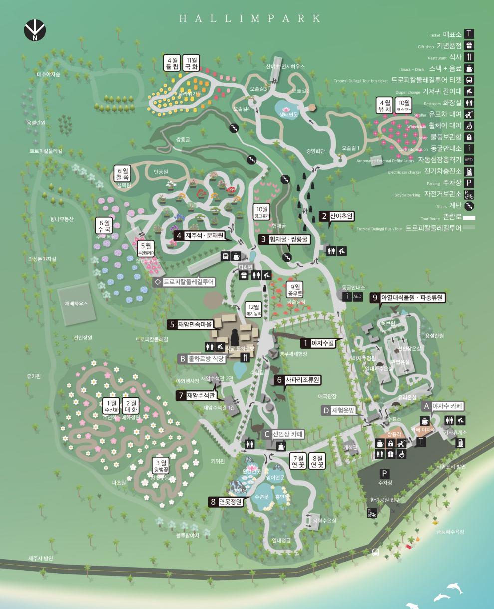 한림공원 부겐빌레아 축제