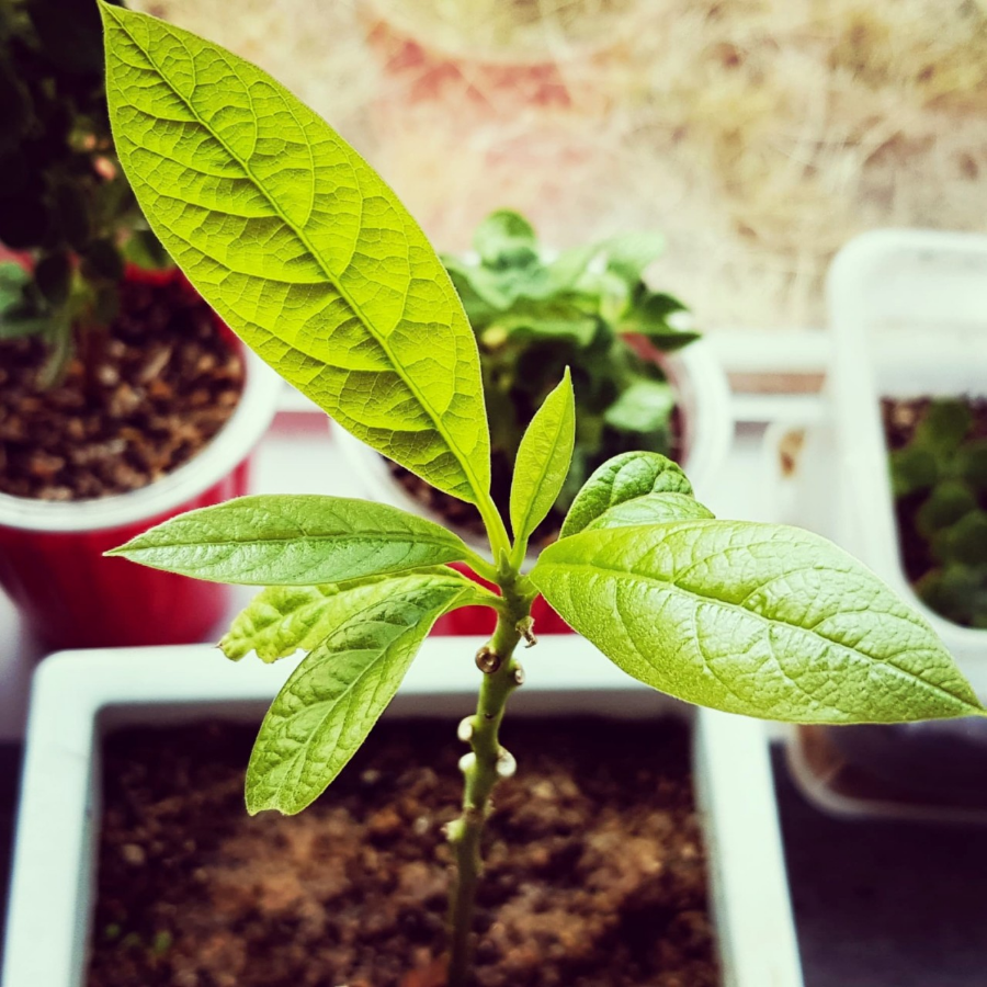 플로개 블로그 완전 정복