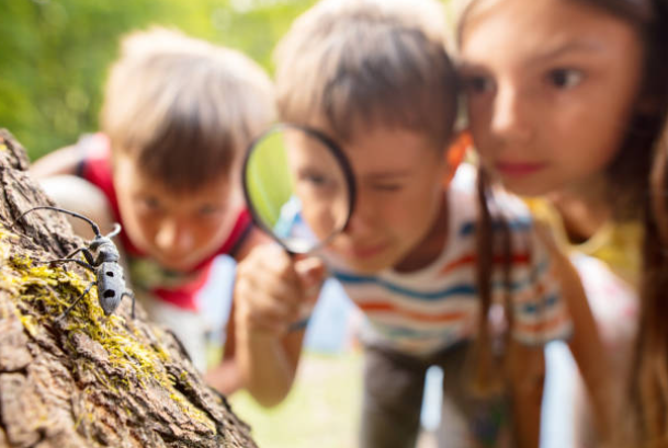 호기심, 탐구하는 아이들 이미지