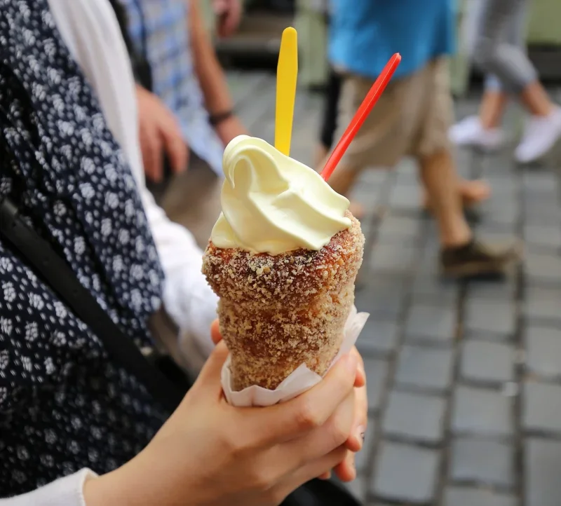 체코 국민 간식 뜨르들로