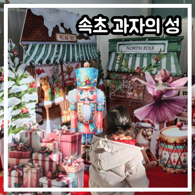 속초 과자의 성