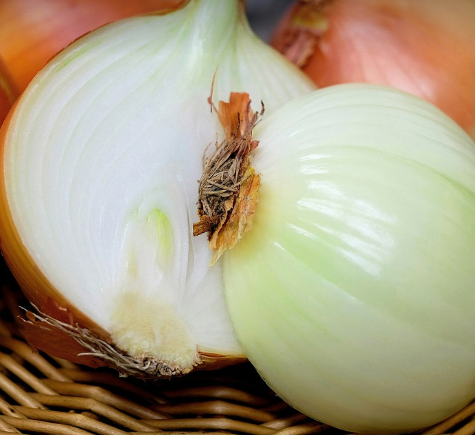 양파 보관법, 양파의 효능과 영양소