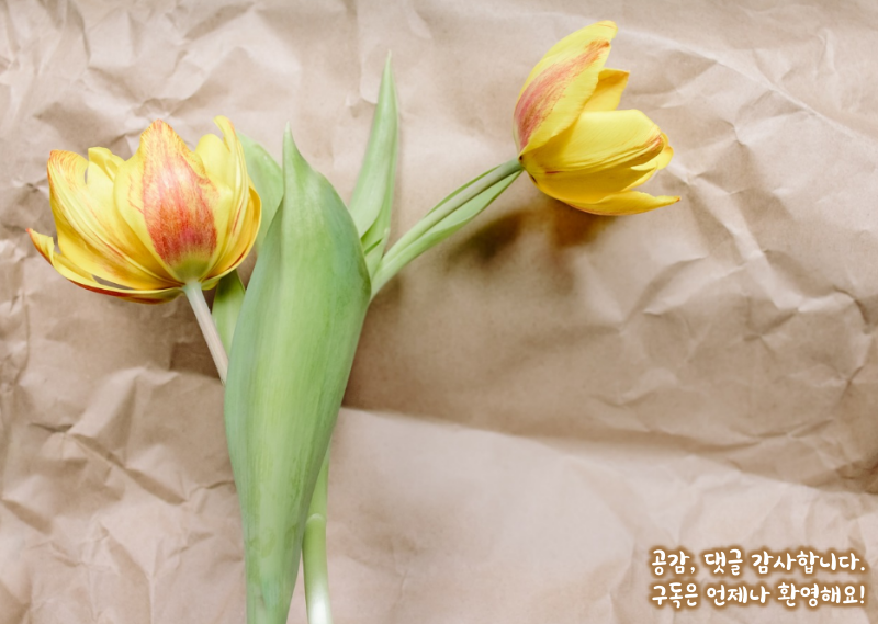 해외신용카드시사용주의사항