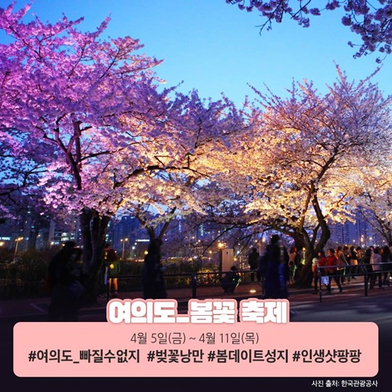 2026 전국 벚꽃 명소 TOP10 (벚꽃 개화시기까지 정리)