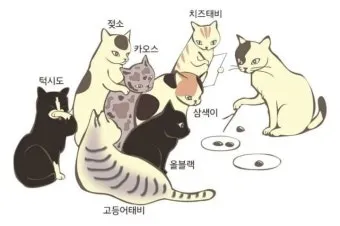 코리안숏헤어 코숏 고양이 종류 몸무게 고등어_3