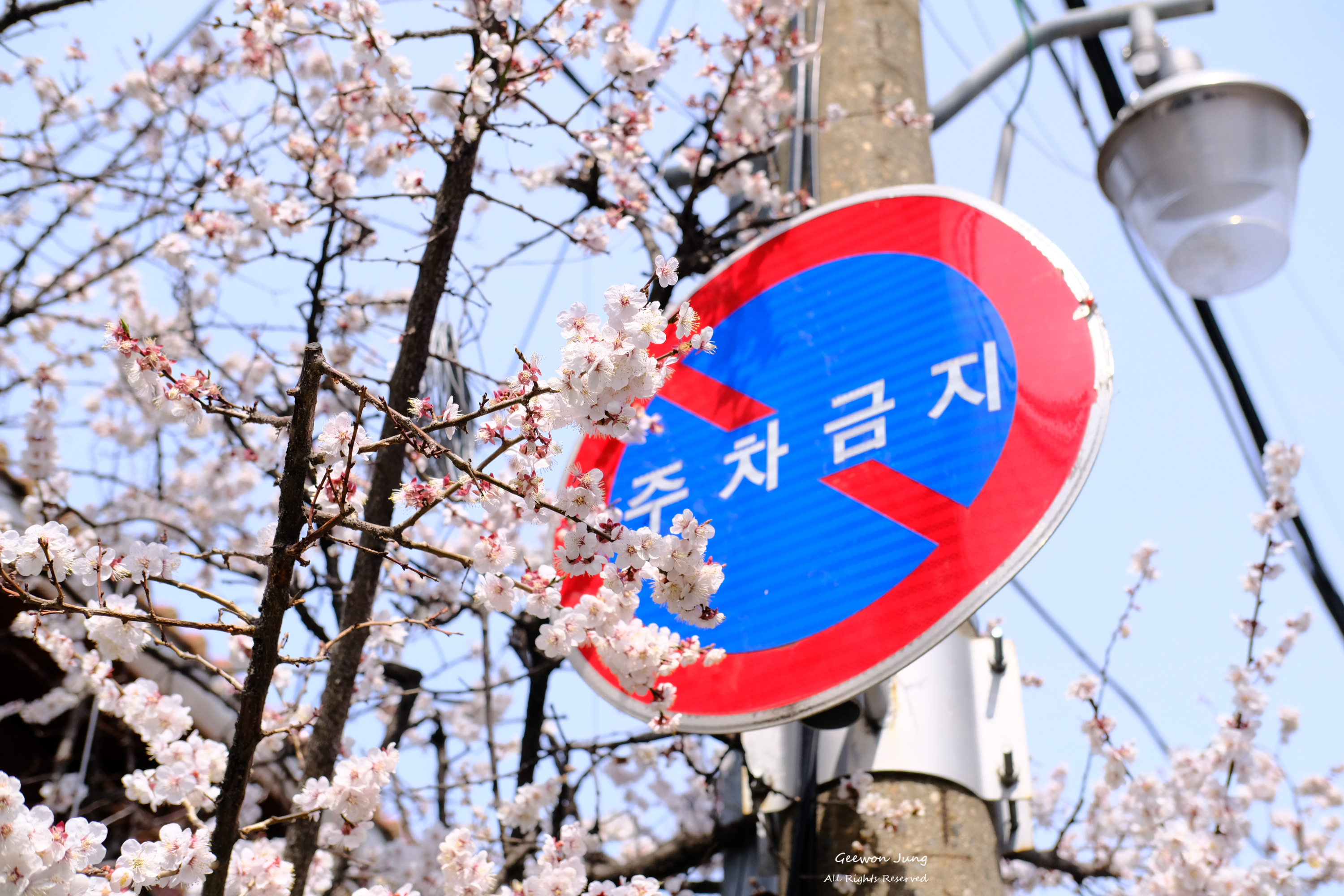 후지 sX10 Velvia