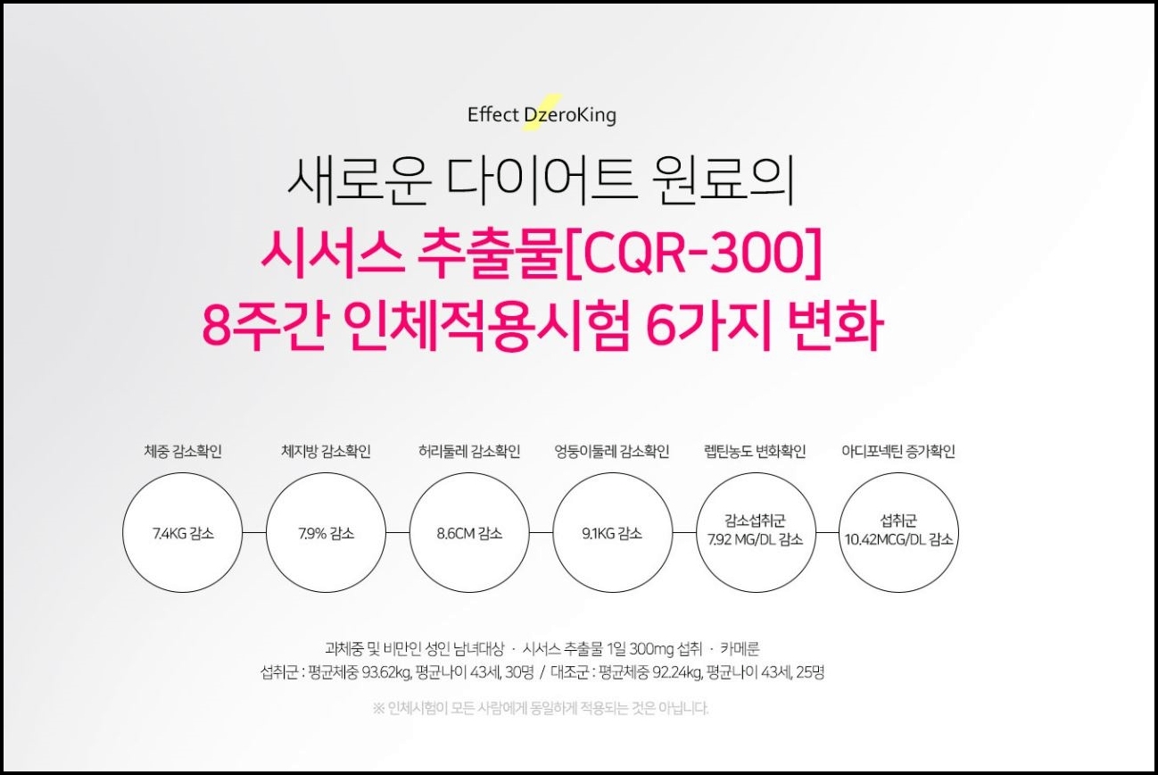 다이어트 보조제 추천 순위 BEST3