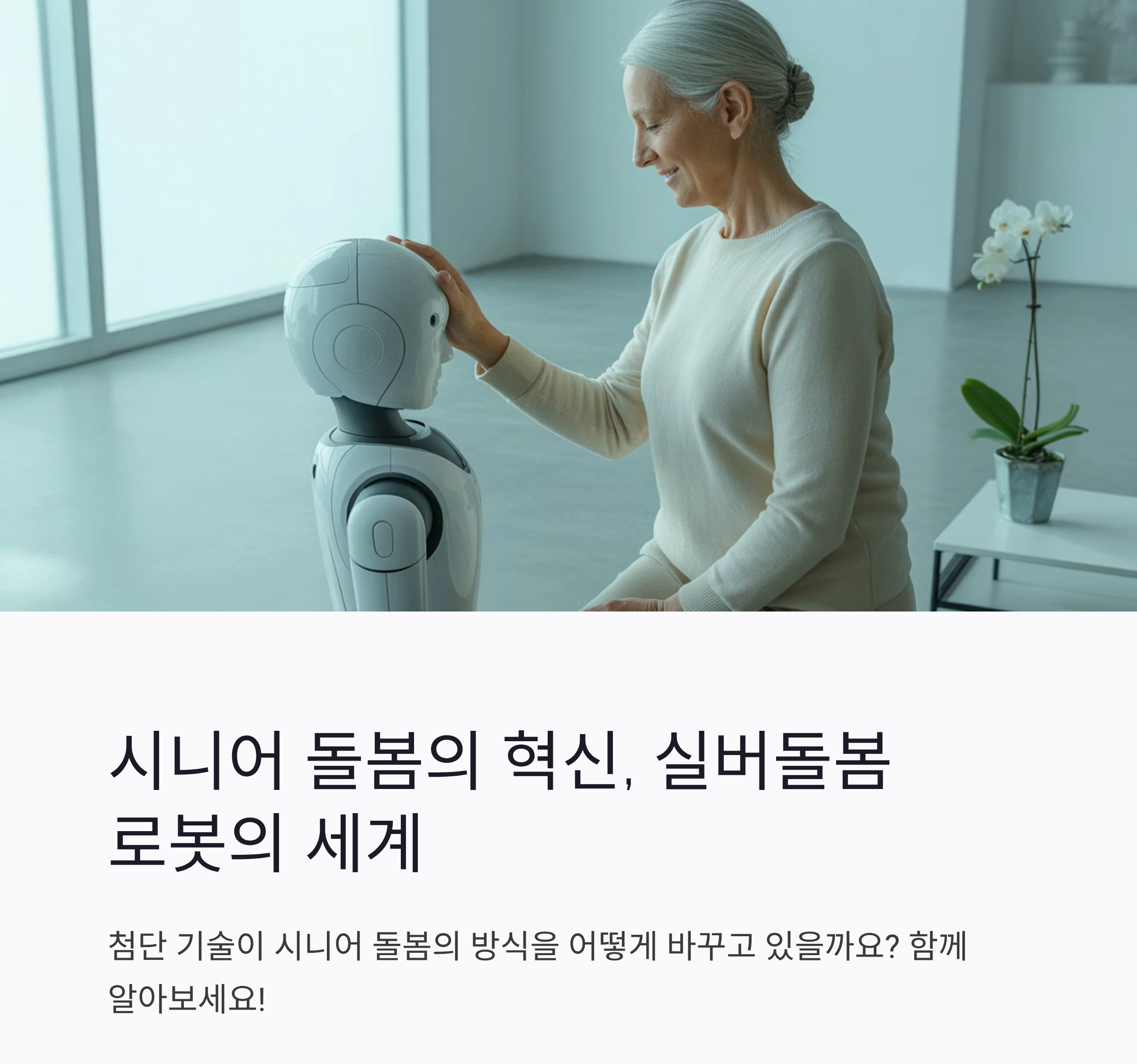 시니어를 위한 실버돌봄 로봇 최신 기술 동향과 미래 전망