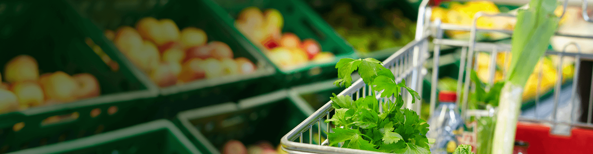 2025년농식품바우처