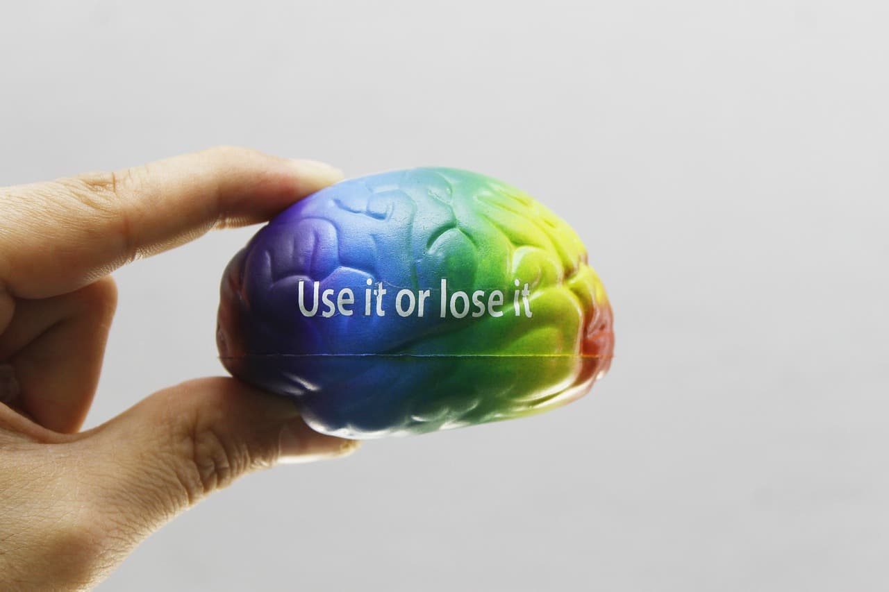 영어 외국어 학습 속도를 2배 빠르게 하는 뇌 훈련법