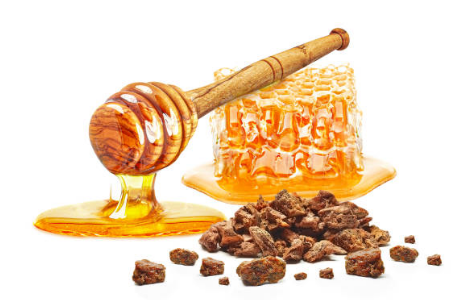 프로폴리스 효능, 부작용 총정리 (2024ver)