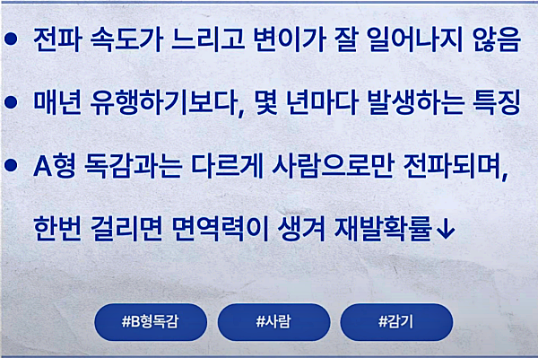 B형 독감