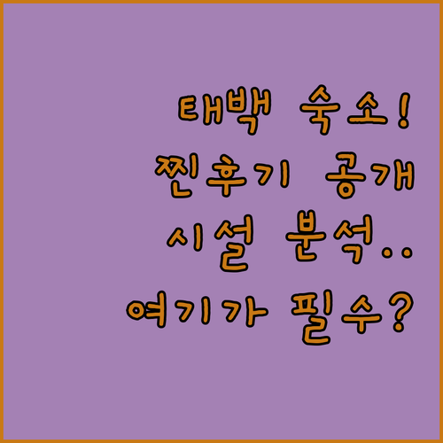 강원도 태백 호텔 리조트 추천 5곳 ..