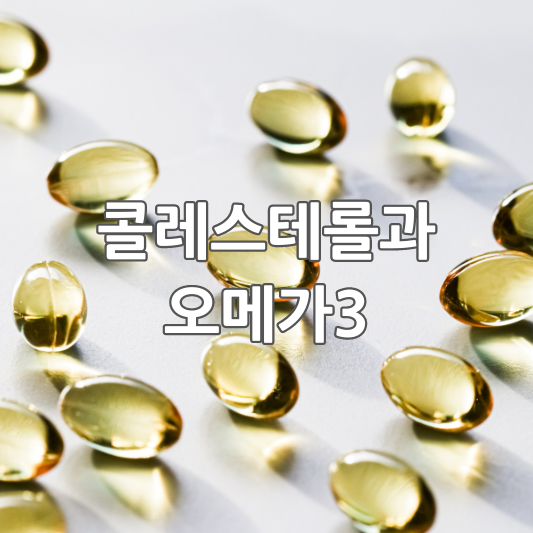 콜레스테롤 수치를 낮추는 오메가3