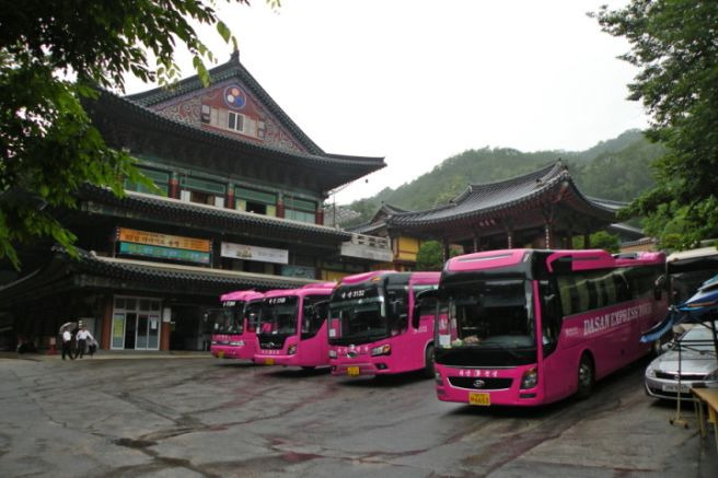 성진스님 성관사