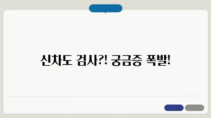 신차 자동차 검사기간