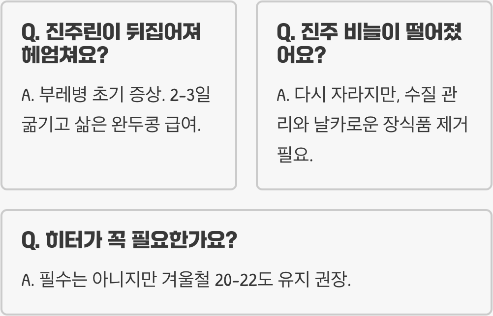 초보자가 진주린 키울 때 가장 많이 하는 실수 5가지