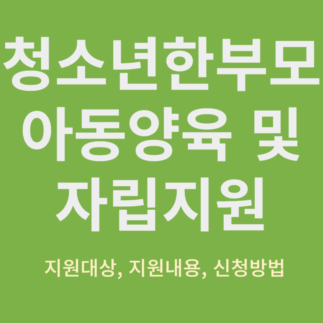 청소년한부모 아동양육 및 자립지원
