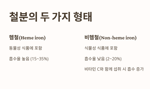 철분의 두 가지 형태: 헴철 vs 비헴철