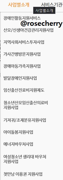 전자바우처에서-신청할수있는-사업은-다음13가지이다
