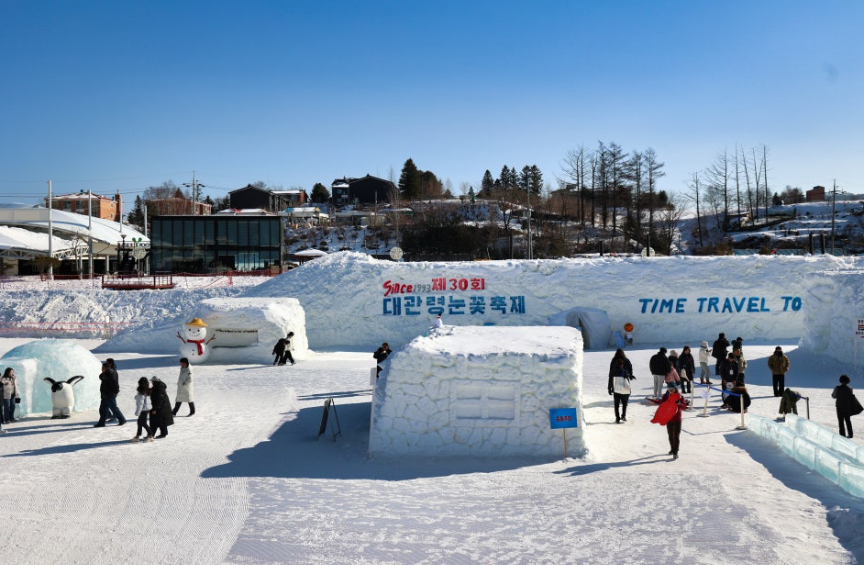 대관령 눈꽃축제2