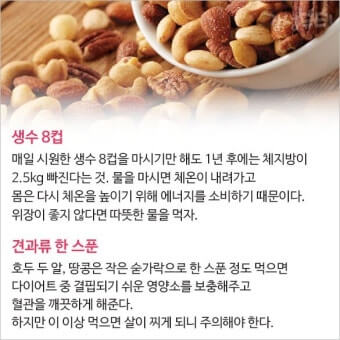신진대사 활성화-쉽게접하는 식품