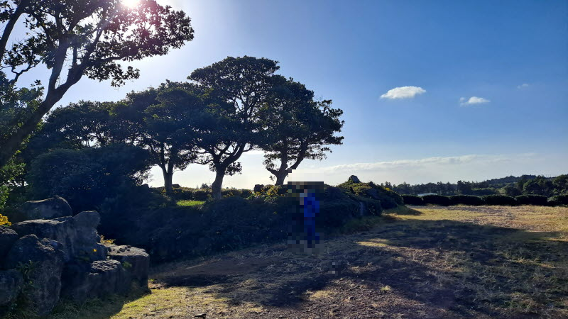 제주여행_성읍녹차마을